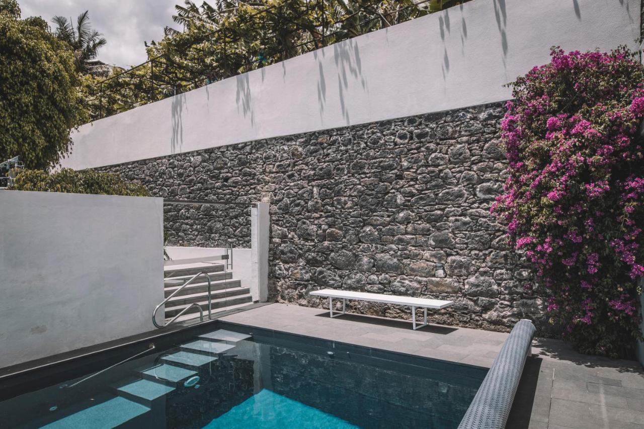 Torrinha Luxo Dream Wohnung Funchal  Exterior photo